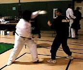 tt100179.jpg