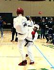 tt100193.jpg
